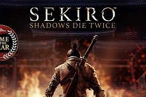 只狼：影逝二度/Sekiro™: Shadows Die Twice（v1.06年度版）-ST资源网
