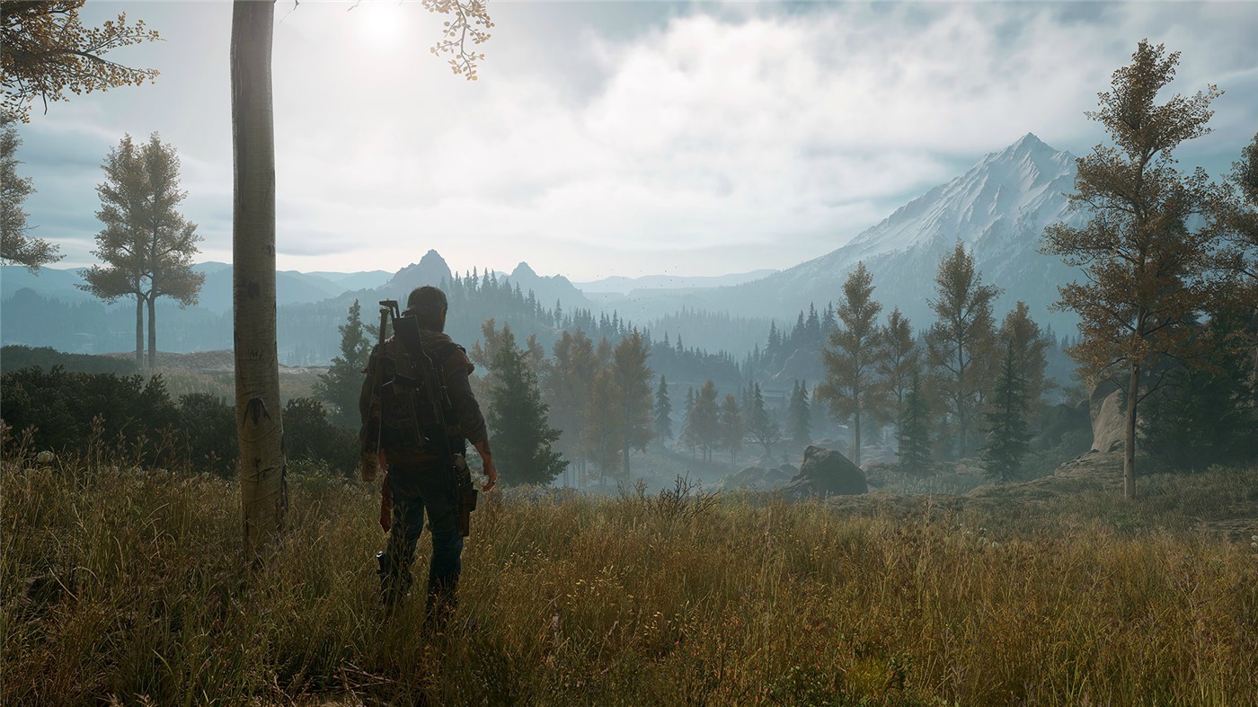 图片[6]-往日不再/Days Gone（更新V1.06+电影级画质补丁）-ST资源网