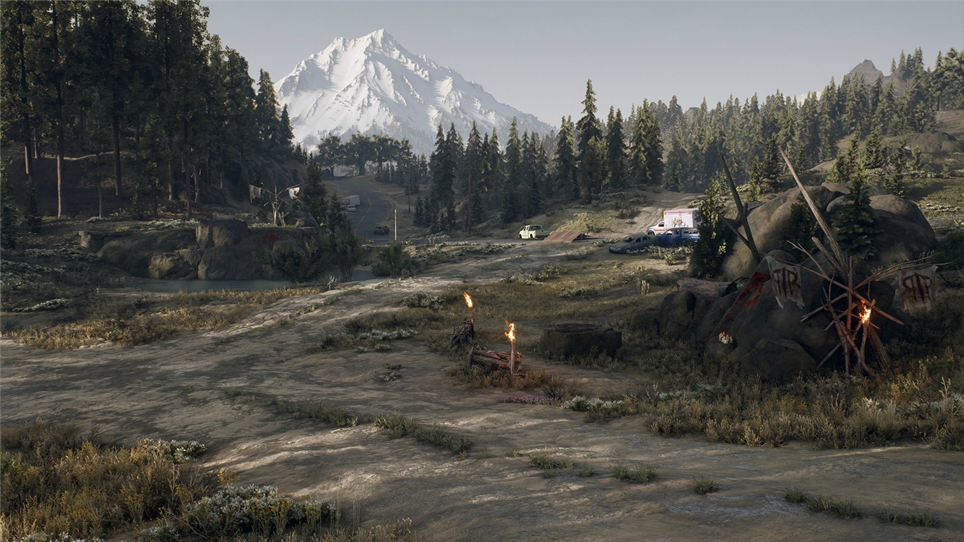 图片[8]-往日不再/Days Gone（更新V1.06+电影级画质补丁）-ST资源网