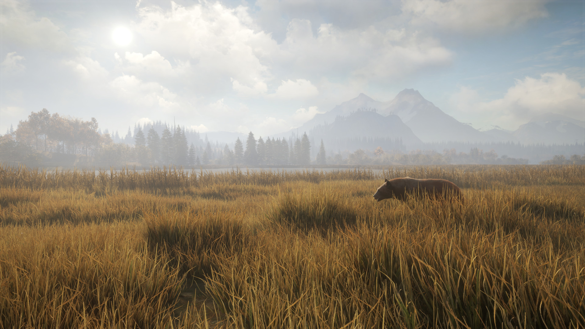 图片[2]-猎人：荒野的召唤/theHunter: Call of the Wild-ST资源网