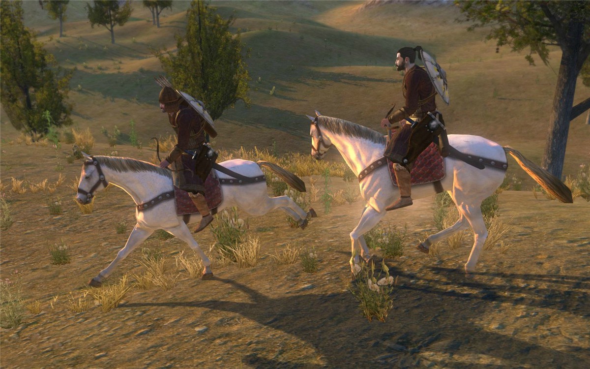 图片[5]-骑马与砍杀：战团/Mount & Blade: Warband-ST资源网