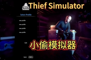 盗贼模拟器2/小偷模拟器2/Thief Simulator 2-ST资源网