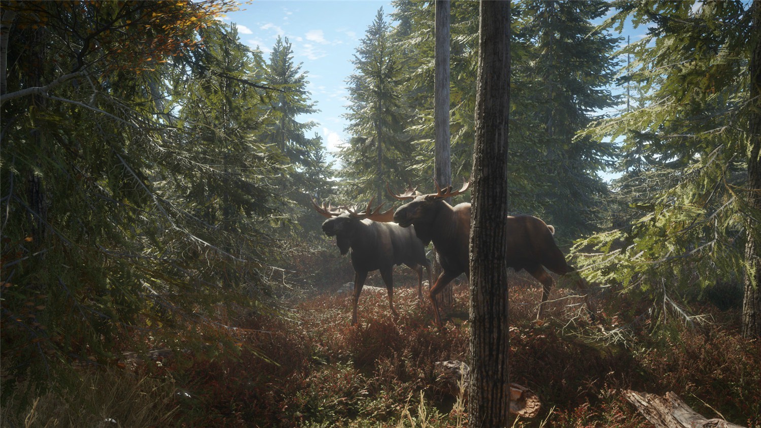 图片[1]-猎人：野性的呼唤/猎人：荒野的呼唤/theHunter: Call of the Wild-ST资源网