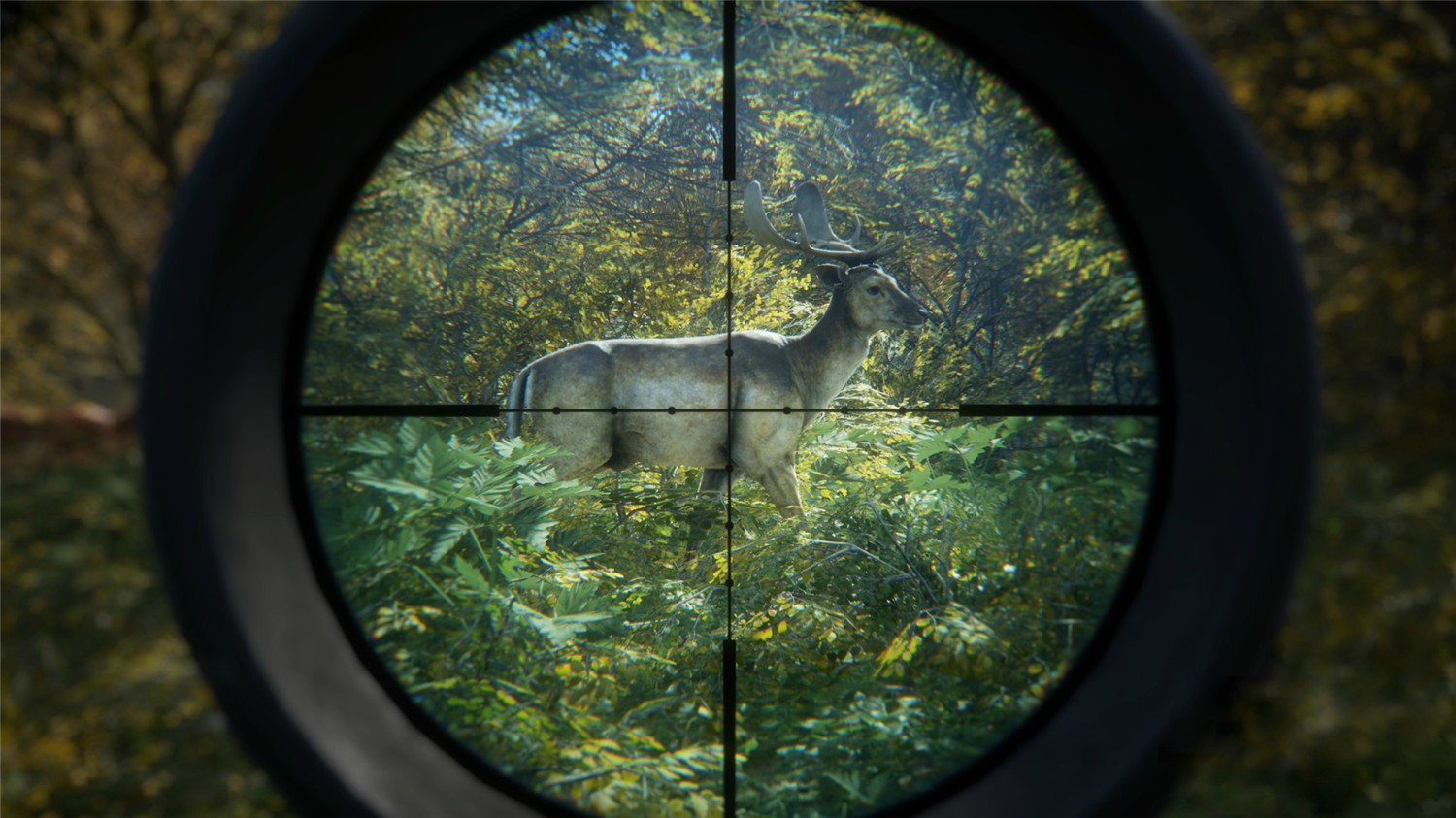 图片[6]-猎人：野性的呼唤/猎人：荒野的呼唤/theHunter: Call of the Wild-ST资源网