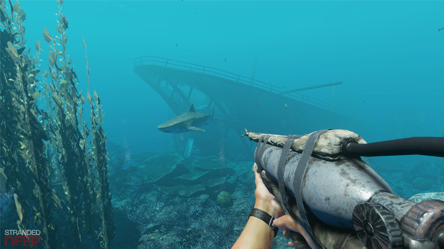 图片[4]-荒岛求生/Stranded Deep-ST资源网