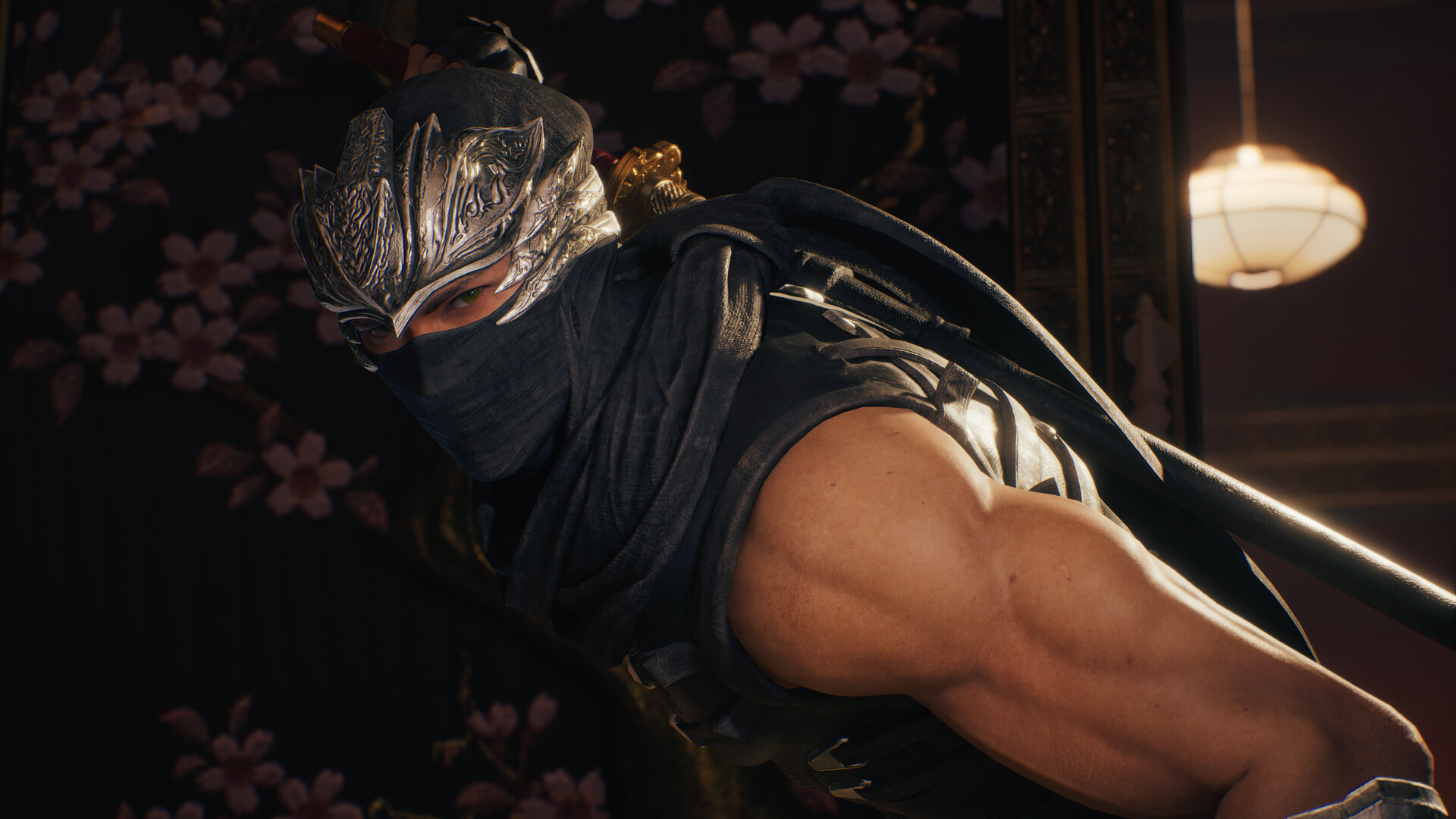 图片[8]-忍者龙剑传2：黑之章/NINJA GAIDEN 2 Black-ST资源网